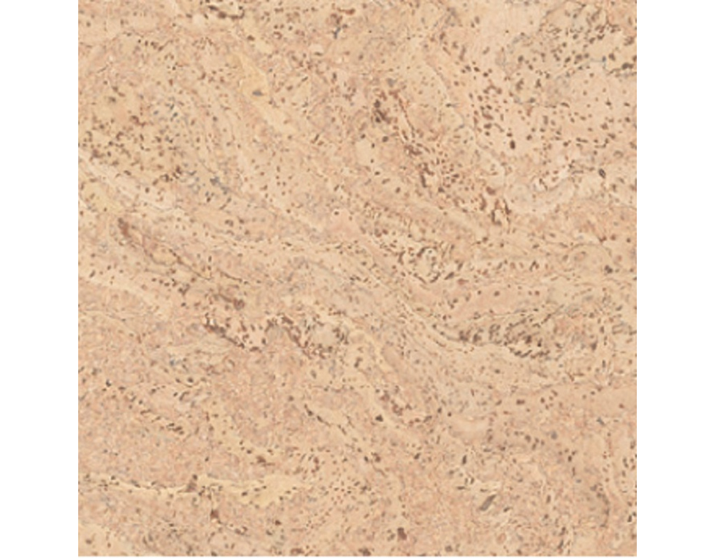 Korkplus Kork-Fertigparkett HDF Salsa creme Hartwachs-Öl 900x300x12mm