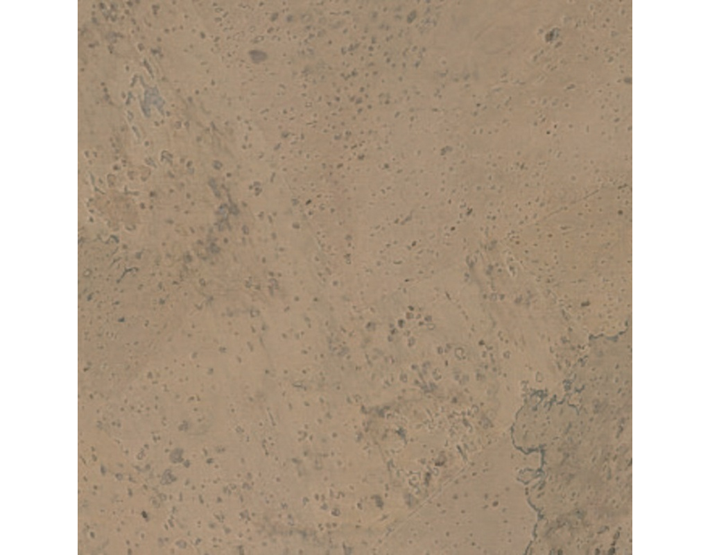 Korkplus Kork-Fertigparkett HDF Harmony sand HWÖ 900x300x12mm