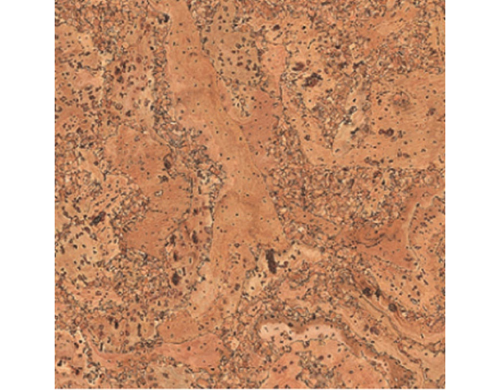 Korkplus Kork-Fertigparkett HDF Salsa Hartwachs-Öl 900x300x12mm